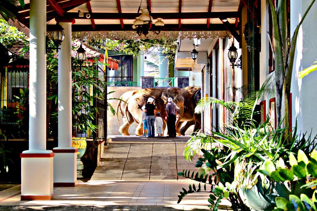Green Land Guest House Pinnawala  Esterno foto