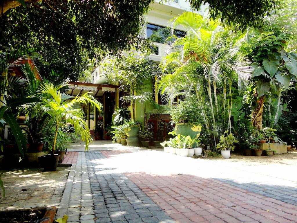 Green Land Guest House Pinnawala  Esterno foto