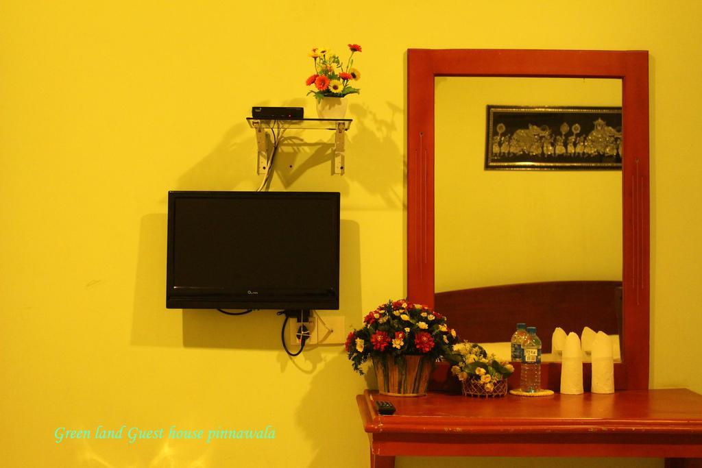 Green Land Guest House Pinnawala  Esterno foto
