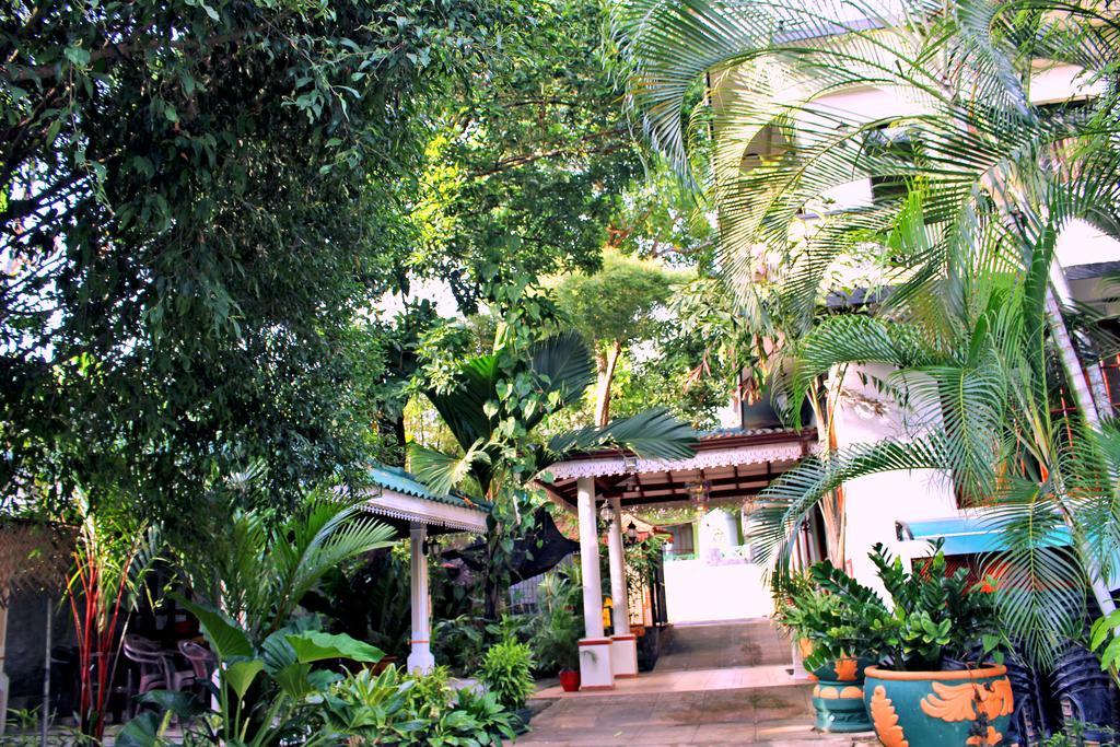 Green Land Guest House Pinnawala  Esterno foto