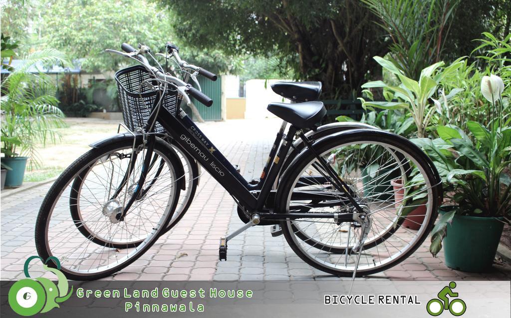 Green Land Guest House Pinnawala  Esterno foto