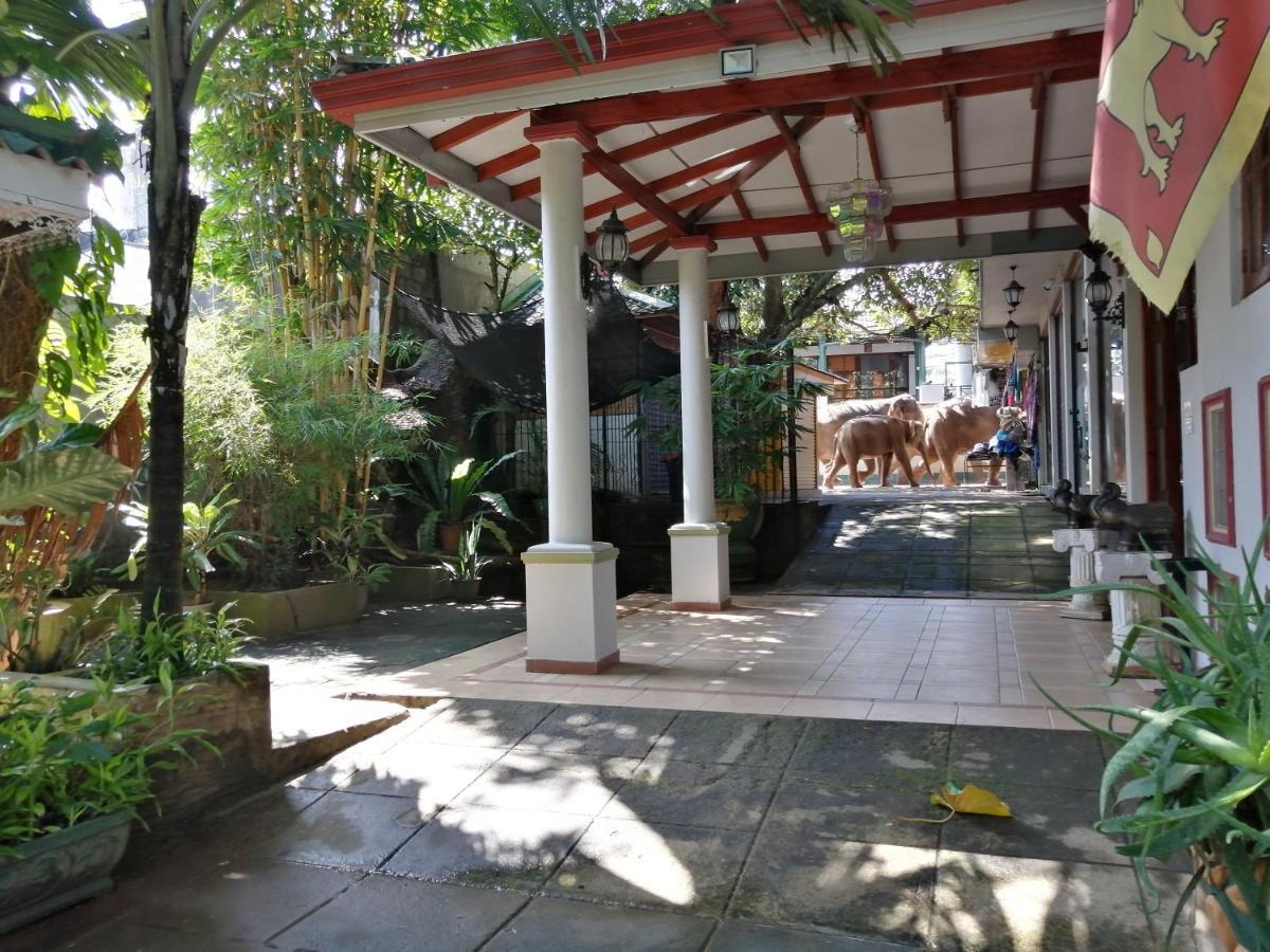 Green Land Guest House Pinnawala  Esterno foto