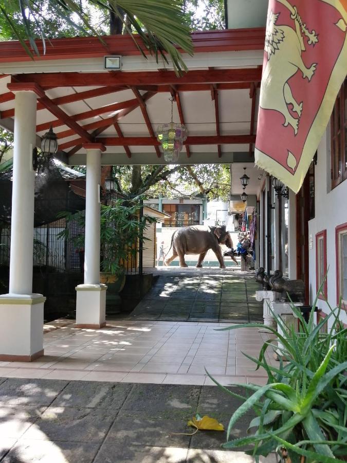 Green Land Guest House Pinnawala  Esterno foto